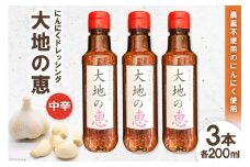 にんにくドレッシング 「大地の恵」 中辛 200ml×3本 [矢口農園 長野県 池田町 48110488] 