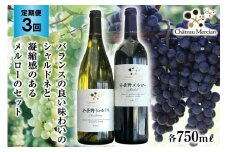 定期便 ワイン 赤 白 安曇野メルロー & 安曇野シャルドネ 各 750ml 3回 計 6本 [シャトー・メルシャン 勝沼ワイナリー 長野県 池田町 48110303] 飲み比べ 赤ワイン 白ワイン 赤白
