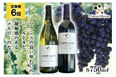 定期便 ワイン 赤 白 安曇野メルロー & 安曇野シャルドネ 各 750ml 6回 計 12本 [シャトー・メルシャン 勝沼ワイナリー 長野県 池田町 48110306] 飲み比べ 赤ワイン 白ワイン 赤白