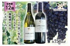定期便 ワイン 赤 白 安曇野メルロー & 安曇野シャルドネ 各 750ml 12回 計 24本 [シャトー・メルシャン 勝沼ワイナリー 長野県 池田町 48110309] 飲み比べ 赤ワイン 白ワイン 赤白