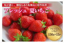 フレッシュ 夏いちご 150g×15パック [安曇野ベジタブル 長野県 池田町 48110413] 