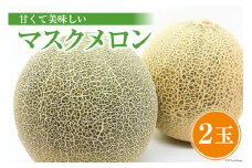 【先行受付】 マスクメロン 2玉 [安曇野ベジタブル 長野県 池田町 48110487] メロン フルーツ