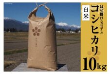 栽培期間中農薬・化学肥料不使用 はぜ掛け 天日干し コシヒカリ 白米 10kg  [まるごし農園 長野県 池田町 48110701]