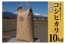 栽培期間中農薬・化学肥料不使用 はぜ掛け 天日干し コシヒカリ 玄米 10kg [まるごし農園 長野県 池田町 48110698]