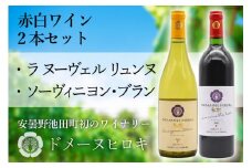 赤白ワイン 「ラ ヌーヴェル リュンヌ」・「ソーヴィニヨン・ブラン 」各750ml 計2本 / DOMAINE HIROKI ドメーヌ・ヒロキ / 長野県 池田町 [48110243]