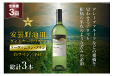 3回 定期便 白ワイン サッポロ グランポレール 安曇野池田ヴィンヤード「ソーヴィニヨン・ブラン」750ml 総計3本 [池田町ハーブセンター 長野県 池田町 48110615] 白 ワイン 辛口 お酒 酒