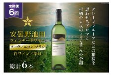 6回 定期便 白ワイン サッポロ グランポレール 安曇野池田ヴィンヤード「ソーヴィニヨン・ブラン」750ml 総計6本 [池田町ハーブセンター 長野県 池田町 48110616] 白 ワイン 辛口 お酒 酒