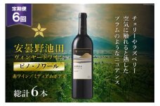 6回 定期便 赤ワイン サッポロ グランポレール 安曇野池田ヴィンヤード「ピノ・ノワール」750ml 総計6本 [池田町ハーブセンター 長野県 池田町 48110622] 赤 ワイン ミディアムボディ お酒 酒 