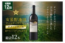 12回 定期便 赤ワイン サッポロ グランポレール 安曇野池田ヴィンヤード「ピノ・ノワール」750ml 総計12本 [池田町ハーブセンター 長野県 池田町 48110623] 赤 ワイン ミディアムボディ お酒 酒 