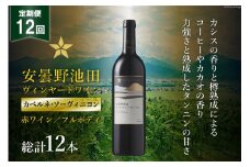 12回 定期便 赤ワイン サッポロ グランポレール 安曇野池田ヴィンヤード「カベルネ・ソーヴィニヨン」750ml 総計12本 [池田町ハーブセンター 長野県 池田町 48110626] 赤 ワイン フルボディ 濃厚 凝縮 お酒 酒