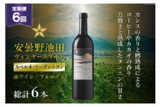 6回 定期便 赤ワイン サッポロ グランポレール 安曇野池田ヴィンヤード「カベルネ・ソーヴィニヨン」750ml 総計6本 [池田町ハーブセンター 長野県 池田町 48110625] 赤 ワイン フルボディ 濃厚 凝縮 お酒 酒