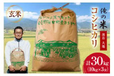 【俺の米】米 令和7年 定期便 コシヒカリ 玄米 10kg ×3袋 計 30kg [薄井 大地 長野県 池田町 48110785] お米 ごはん こしひかり 美味しい 農家 直送