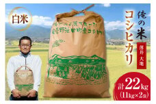 【俺の米】米 令和7年 コシヒカリ 精米 11kg×2袋 計22kg [薄井 大地 長野県 池田町 48110783] お米 白米 ごはん こしひかり 美味しい 農家 直送 