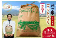 【俺の米】米 令和7年 コシヒカリ 無洗米 11kg×2袋 計22kg [薄井 大地 長野県 池田町 48110781] お米 精米 白米 ごはん こしひかり 美味しい 農家 直送