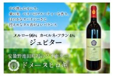 ジュピター 750ml 1本 [ ヴィニョブル安曇野(ドメーヌ・ヒロキ) 長野県 池田町 48110811] ワイン 赤 赤ワイン