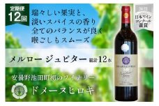 【12回 ワイン 定期便 】メルロー ジュピター 750ml 1本 ×12回 総計12本 [ 赤ワイン 赤 ドメーヌヒロキ ] / ヴィニョブル安曇野 / 長野県 池田町 [48110346]