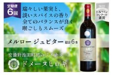 【6回 ワイン 定期便 】メルロー ジュピター 750ml 1本 ×6回 総計6本 [ 赤ワイン 赤 ドメーヌヒロキ ] / ヴィニョブル安曇野 / 長野県 池田町 [48110347]