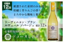 【12回 ワイン 定期便 】ソーヴィニヨン ブラン ルヴュール ソバージュ750ml 1本 ×12回 総計12本 [ヴィニョブル安曇野 DOMAINE HIROKI 長野県 池田町 48110706] 白ワイン お酒 酒