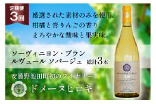 【3回 ワイン 定期便 】ソーヴィニヨン ブラン ルヴュール ソバージュ750ml 1本 ×3回 総計3本 [ヴィニョブル安曇野 DOMAINE HIROKI 長野県 池田町 48110708] 白ワイン お酒 酒