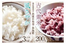 米 令和6年 風さやか 白米3kg & 古代紫米 200g セット [森の土・あづみ野ファーム 長野県 池田町 48110534] お米 コメ こめ 精米 白米 ご飯 ごはん 古代米 玄米 雑穀米 国産
