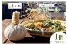 ハーブ セルフケア用 和草 ハーブボール (R) 1個（ハーブ内容量75g） [和のか 長野県 池田町 48110727] お灸 温灸 ハーブボール マッサージ 癒し リラックス 手作り