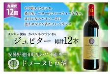 12回 定期便 ワイン ジュピター 750ml×1本 計12本 [ ヴィニョブル安曇野(ドメーヌ・ヒロキ) 長野県 池田町 48110814] ワイン 赤 赤ワイン