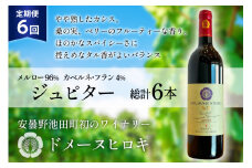 6回 定期便 ワイン ジュピター 750ml×1本 計6本 [ ヴィニョブル安曇野(ドメーヌ・ヒロキ) 長野県 池田町 48110813] ワイン 赤 赤ワイン