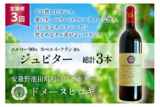3回 定期便 ワイン ジュピター 750ml×1本 計3本 [ ヴィニョブル安曇野(ドメーヌ・ヒロキ) 長野県 池田町 48110812] ワイン 赤 赤ワイン