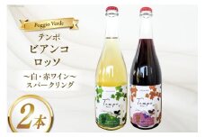 ワイン 白泡 赤泡 2本 セット テンポ ビアンコ ロッソ 各 750ml [Poggio Verde（ポッジョ ヴェルデ） 長野県 池田町 48110664]  ワインセット 赤ワイン 白ワイン スパークリング アルコール 国産ぶどう使用 お酒 酒 アルコール