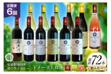 定期便 ワインセット 赤白 ロゼ 12本 セット 750ml 6回 計 72本 [ヴィニョブル安曇野 長野県 池田町 48110762] 赤ワイン 白ワイン 飲み比べ ワイン 赤 白 ロゼ