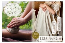 ハーブボール セラピー 割引チケット 5,000円分 [和のか 長野県 池田町 48110810] リラクゼーション よもぎ蒸し 植物療法