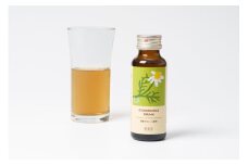 華密恋 ドリンク 1ケース（50mL×10本） [カミツレ研究所 長野県 池田町 48110787] カミツレン カミツレ ハーブ カモミール