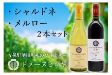 【自社農園100％】 ワイン 白 赤 シャルドネとメルローのセット 750ml×2本 [ヴィニョブル安曇野（ドメーヌ・ヒロキ） 長野県 池田町 48110822] 白ワイン 赤ワイン お酒 酒
