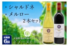 【6回定期便】 自社農園100％ ワイン 白 赤 シャルドネとメルローのセット 750ml×2本 6回 総計9000ml [ヴィニョブル安曇野（ドメーヌ・ヒロキ） 長野県 池田町 48110824] 白ワイン 赤ワイン お酒 酒