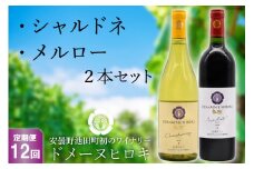 【12回定期便】 自社農園100％ ワイン 白 赤 シャルドネとメルローのセット 750ml×2本 12回 総計 18000ml [ヴィニョブル安曇野（ドメーヌ・ヒロキ） 長野県 池田町 48110825] 白ワイン 赤ワイン お酒 酒