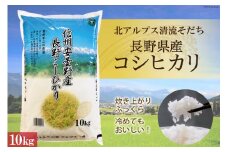 【北アルプス清流そだち】米 令和7年 長野県産 コシヒカリ10kg [大北農業協同組合 長野県 池田町 48110828] お米 こめ ごはん