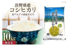 米 令和7年 無洗米 長野県産 コシヒカリ 10kg [大北農業協同組合 長野県 池田町 48110829] お米 こめ ごはん