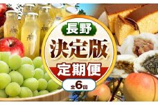 【定期便6回】松川村 の魅力が詰まった 満喫セット ｜ 定期便 セット 季節限定 りんごジュース リンゴジュース おやき まんじゅう カステラ かすてら 洋菓子 豚まん シャインマスカット りんご リンゴ 林檎 ぐんま名月 フルーツ 果物 長野県 松川村 信州
