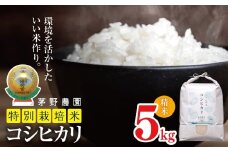 * 【令和7年度産先行予約】コシヒカリ 5kg 特別栽培米  | 米 こめ コメ お米 白米 はくまい 精米 コシヒカリ 特別栽培米 栽培米 優秀賞 金賞 長野県 松川村 信州