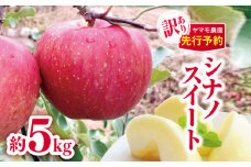 *【2025年先行予約】 訳あり シナノスイート約5kg | ヤマモ農園 果物 フルーツ 果実 訳あり りんご 林檎 リンゴ シナノスイート 長野県 松川村 信州
