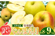*【2025年先行予約】東印平林農園 訳あり ぐんま名月 約8～9kg ｜ リンゴ りんご 林檎 果物 フルーツ 果実 果汁 ぐんま名月 ぐんまめいげつ 家庭用 わけあり 訳アリ 長野県 松川村 信州