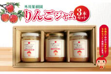 *りんごジャム3本セット 外川果樹園 ｜ リンゴ りんご 林檎 リンゴジャム りんごジャム りんごじゃむ ジャム じゃむ さんふじ サンふじ シナモンジャム バタージャム 果実ジャム セット 詰め合わせ 長野県 松川村