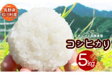 *【令和7年度産先行予約】北アルプス高橋農園のコシヒカリ 5kg ｜ 米 お米 こめ コシヒカリ こしひかり 白米 精米 長野県 松川村 栽培期間中無農薬 地域おこし 北アルプス 信州