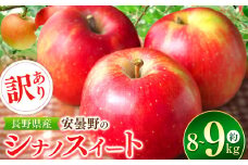 *【2025年先行予約】東印平林農園 訳あり シナノスイート 約8～9kg ｜ リンゴ りんご 林檎 果物 フルーツ 果実 果汁 シナノスイート しなのすいーと わけあり 訳アリ 長野県 松川村 信州