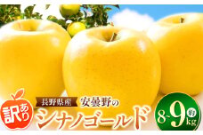 *【2025年先行予約】訳あり シナノゴールド 約 8～9kg ｜ 東印平林農園 リンゴ りんご 林檎 果物 フルーツ 果実 果汁 シナノゴールド しなのゴールド 家庭用 わけあり 訳アリ 長野県 松川村 信州