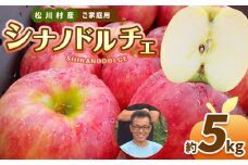 *【2025年先行予約】北條農園 家庭用 シナノドルチェ 約5kg ｜ リンゴ りんご 林檎 果物 フルーツ 果実 果汁 シナノドルチェ しなのドルチェ 家庭用 長野県 松川村 信州
