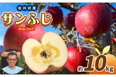 *【2025年先行予約】 北條農園 並品 サンふじ 約 10kg｜ リンゴ りんご 林檎 果物 フルーツ 果実 果汁 サンふじ さんふじ 長野県 松川村 信州