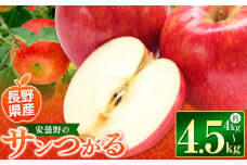*【2025年先行予約】東印平林農園 サンつがる 約4kg～4.5kg ｜ リンゴ りんご 林檎 果物 くだもの フルーツ 果実 果汁サンつがる さんつがる エコファーマー 長野県 松川村 信州