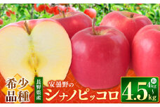 *【2025年先行予約 】東印平林農園 シナノピッコロ 約 4～4.5kg ｜ リンゴ りんご 林檎 果物 くだもの フルーツ 果実 果汁 シナノピッコロ しなのピッコロ 長野県 松川村 信州