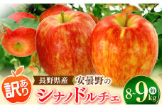 *【2025年先行予約】東印平林農園 訳あり シナノドルチェ 約8～9kg ｜ リンゴ りんご 林檎 果物 フルーツ 果実 果汁 シナノドルチェ しなのドルチェ わけあり 訳アリ 長野県 松川村 信州